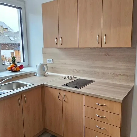 Apartmany U Provaznika Zdíkov Exterior photo